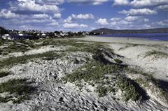 Fishing in Langebaan