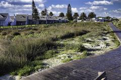 Ski boat trips in Langebaan